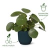 elho Vibes Fold Round with Self-Watering System - Flower Pot