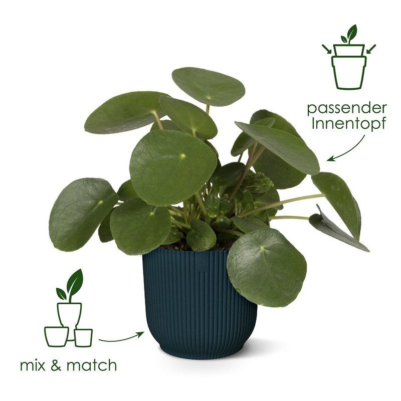 elho Vibes Fold Round with Self-Watering System - Flower Pot