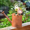 SunnyTong Metal Watering Can for Outdoor and Indoor Plants, Watering