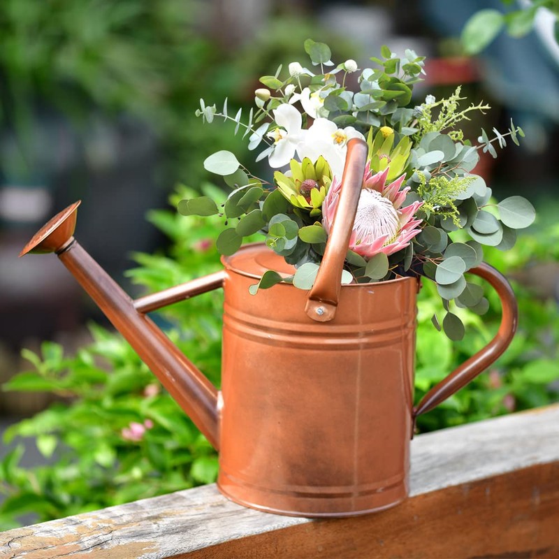 SunnyTong Metal Watering Can for Outdoor and Indoor Plants, Watering