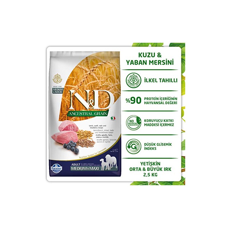 Lamb & Blueberry Adult medium & maxi