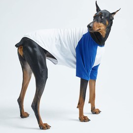 Lucky Petter Dog Cotton Shirts for Small and Large Dogs Raglan T-shirts soft breathable Dog Shirt pet clothes (5X-Large, White/Blue)