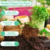 Legigo 100 Pcs 30mm Organic Coco Coir Pellets for Plants-