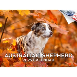 2024 2025 Australian Shepherd Calendar - Dog Breed Monthly Wall Calendar - 12 x 18 Open - Thick No-Bleed Paper - Giftable - Academic Teacher's Planner Calendar Organizing & Planning - Made in USA