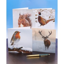 Box of 12 British Winter Animals Multiple Charity Christmas Cards In 4 Designs