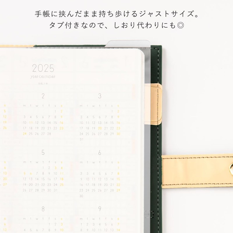 Iroha Publishing LSX-04 ajiki SUNNY Notebook, Monthly, B6 Mini Size,