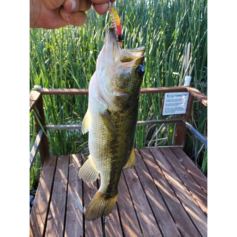 Goture Soft Plastic Lures Artificial Bait Luminous Shrimp Fishing Lure