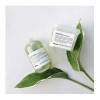 Kit Shampooacondicionador Momo Davines
