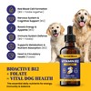Special Breed Liquid Vitamin B12 for Dogs – Methylcobalamin and