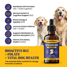 Liquid Vitamin B12 for Dogs – Methylcobalamin and 5-MTHF – Boosts Energy, Appetite, Mood & Immune System Support, Easy-to-Use Dropper - Chicken Flavor, 2 fl oz