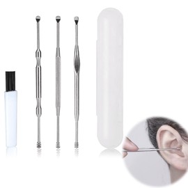 Liroyal 耳かき 耳掃除 (4点セット) みみかき 耳掻きセット 耳垢クリーニング ステンレス製 ブラシ付き 専用ブラシ 耳垢除去 水洗い可能 収納ケース付き 携帯便利 多種類の先端形状(スパイラル型 スプーン型) 家庭用 お年寄り用 子供