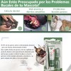 2 Juegos Cepillo Dientes de Perros y Kit Cepillado de