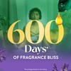 Air Wick Plug in Scented Oil Refill, 10ct, Lavender &