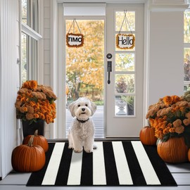 Timo Black and White Striped Outdoor Rug, 24"x36" Non Slip Absorbent Layered Doormat, Washable Resist Dirt Indoor Outdoor Rugs, Fall Front Door Mat for Kitchen Entryway Patio Farmhouse Porch Decor