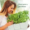 volila Herb Planter Indoor - Set of 3 Warmstone Indoor