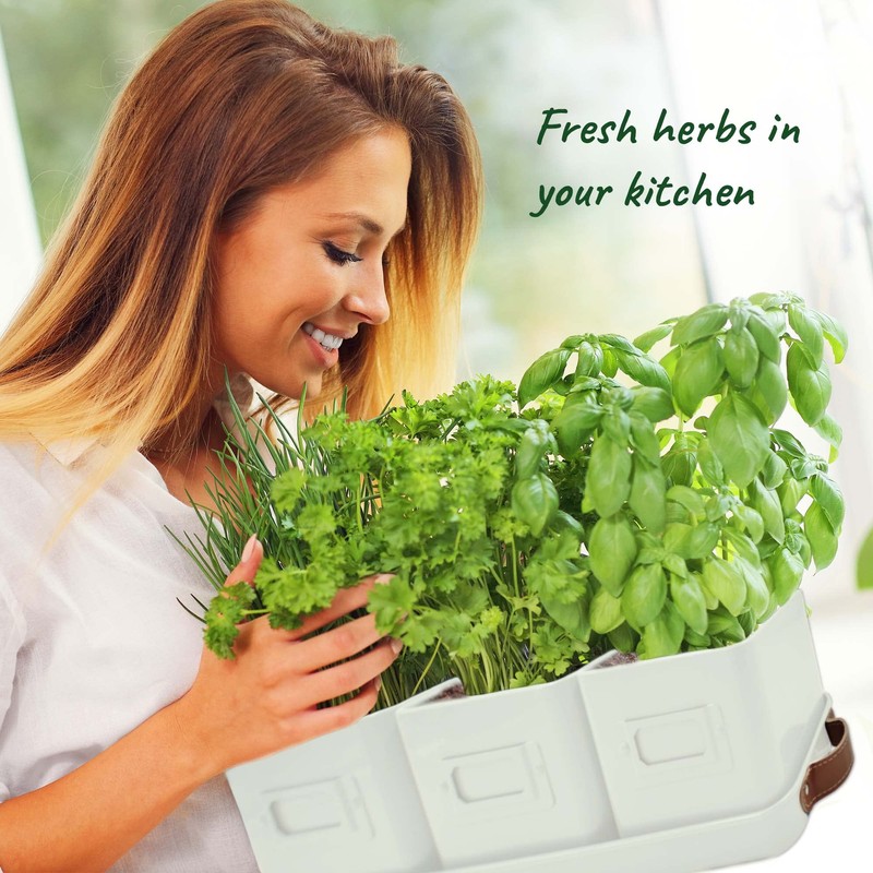 volila Herb Planter Indoor - Set of 3 Warmstone Indoor