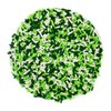Mystic Sprinkles St. Patrick's Day Sprinkle Mixes (Irish Blessing Jimmy