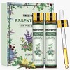 Migcaput Migcaput Eukalyptus?l (2 x 10ml)- ?therisches ?l Natrliches ?therisches