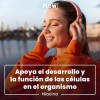 Niacina Vitamina Cápsulas 500 Flow
