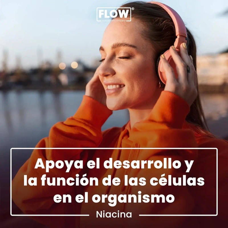 Niacina Vitamina Cápsulas 500 Flow