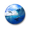 Merchandise for Fans 01 Fridge Magnets with Dolphin Sea Creatures