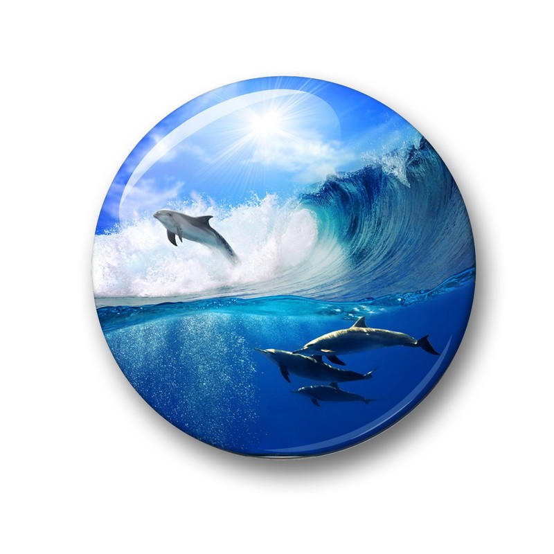 Merchandise for Fans 01 Fridge Magnets with Dolphin Sea Creatures