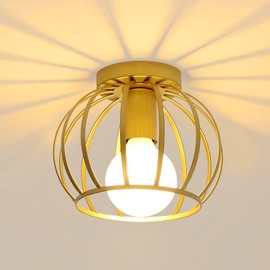 Pheashine Ceiling Light Gold, Industrial Ceiling Light Metal in Cage-Shaped, E27 Round Lampshade Pendant Lamp for Hallway, Entrance Area, Staircase, Balcony, Diameter 20 cm
