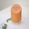 Croll & Denecke Face brush for dry brushing, exfoliating brush
