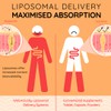 WELL ACTUALLY Liposomal Vitamin C 1000mg Sachets - High Bioavailability