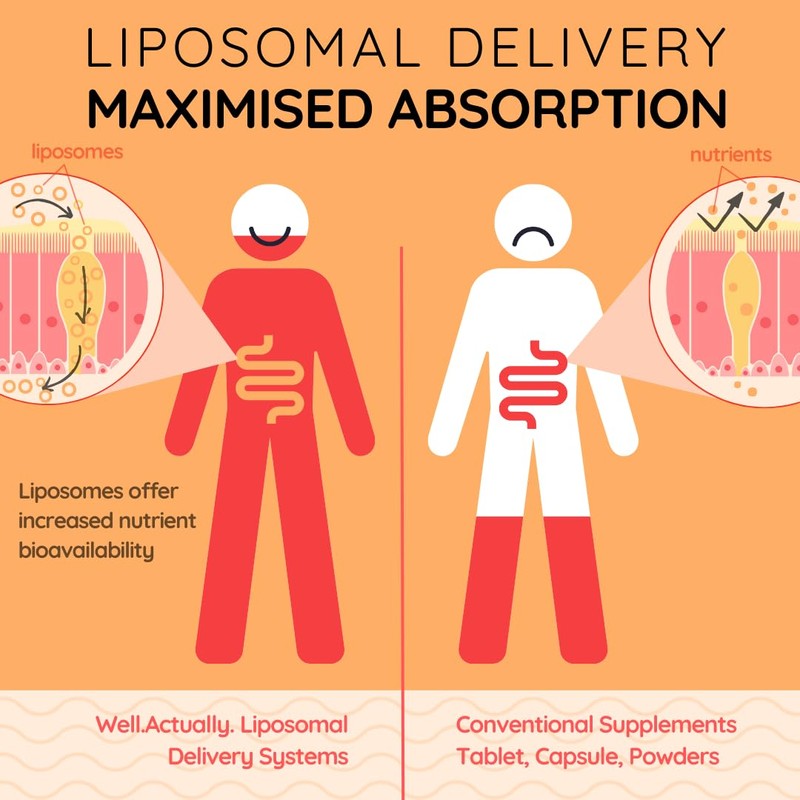 WELL ACTUALLY Liposomal Vitamin C 1000mg Sachets - High Bioavailability