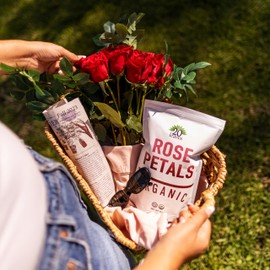 Dried Rose Petals - 100% Certified Organic - Herbs - Red Rose Petals for Loose Leaf Tea, Cocktails and Cakes - 4oz Resealable Bag - 1 Pack
