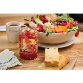 Italian Giardiniera | Mixed Pickled Vegetables Imported from Puglia | Premium Quality, All Natural Ingredients, No Preservatives Added | 19.4oz (550g) (Pack of 1)