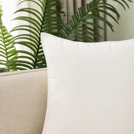 VAKADO Cushion Covers Velvet Decorative Pillow Covers With Fringe Decor Soft Square Cozy Solid Color Cushion Cases Home for Bed Bedroom Couch Car Sofa Set of 2 Cream,40x40