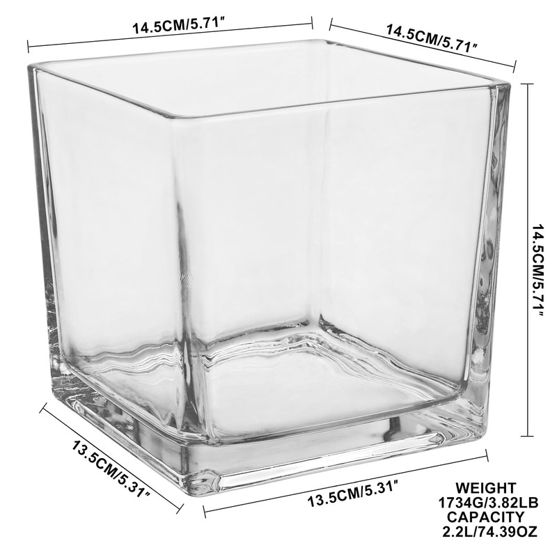 Square Glass Vase, Clear Glass Cube Makeup Brush Holder, Multi-Purpose