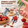 Stainless Steel Fruit Pitter for Cherries & Jujubes – Spring-Loaded
