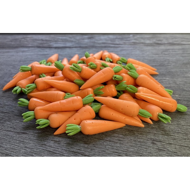 AIICraft 20 Vegetable Fresh Loose Carrot Garden Display Minimal Decoration,