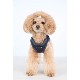 Puppia Dog Harness for Small and Medium Dogs, Super Soft in Many Colours, Can Also Be Used as Puppy Harness, Anti-Pull Harness for Dogs