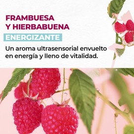 Yves Rocher Set Jabn para Manos con Aroma a Frambuesa y Hierbabuena, Gel, Frmula Suave