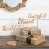 Fun Express Thanksgiving Phrase Tabletop Signs - 3 Pc