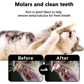 6 Pcs Juguetes para Gatos, Juguetes para Gatos Gato Catnip Dientes de Limpieza, Hierba Gatera Palitos para Masticar Limpieza de Dientes, Palitos Gato 