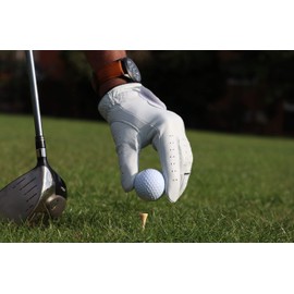 DEGA Golf Gloves 2 Pack 100% Cabretta Leather Golf Gloves Men Left Hand Soft Feel Tour Preferred (L, D01)
