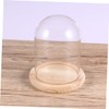 CHILDWEET 9x12cm Flower Glass Cover Glass Dome on Wooden Stand
