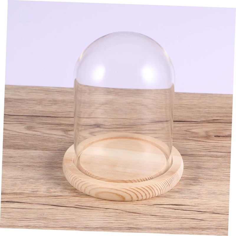 CHILDWEET 9x12cm Flower Glass Cover Glass Dome on Wooden Stand
