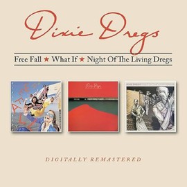 Free Fall / What If / Night Of The Living Dregs