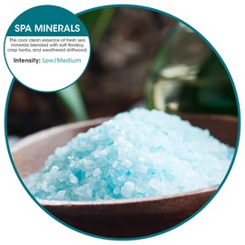 Fresh Products myfreshe Plug-in Air Freshener, Worry-free No Heat, No Glass, Dry Fragrance Refills, Made in the USA - Spa Minerals 2 pack