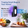 BUGAWAY Fruit Fly Trap for Indoors with 10 Refills, 2