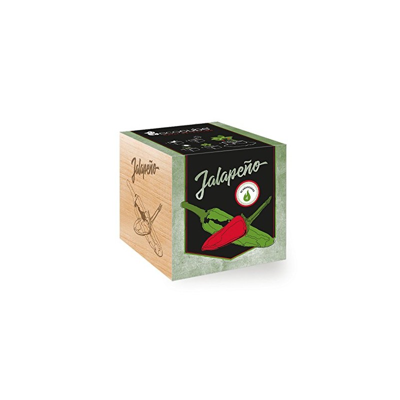 Chili Plant 'Jalapeño' in Wooden Cube - Chili Selection