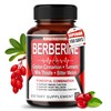 Berberine Supplement - Enhanced with Ceylon Cinnamon, Turmeric, Milk Thistle,