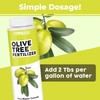 Olive Tree Fertilizer for All Olive and Oleaceae Trees, Liquid