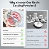 YOBTOP Resin Casting Powder 3000g with 5 Pigments - Fast